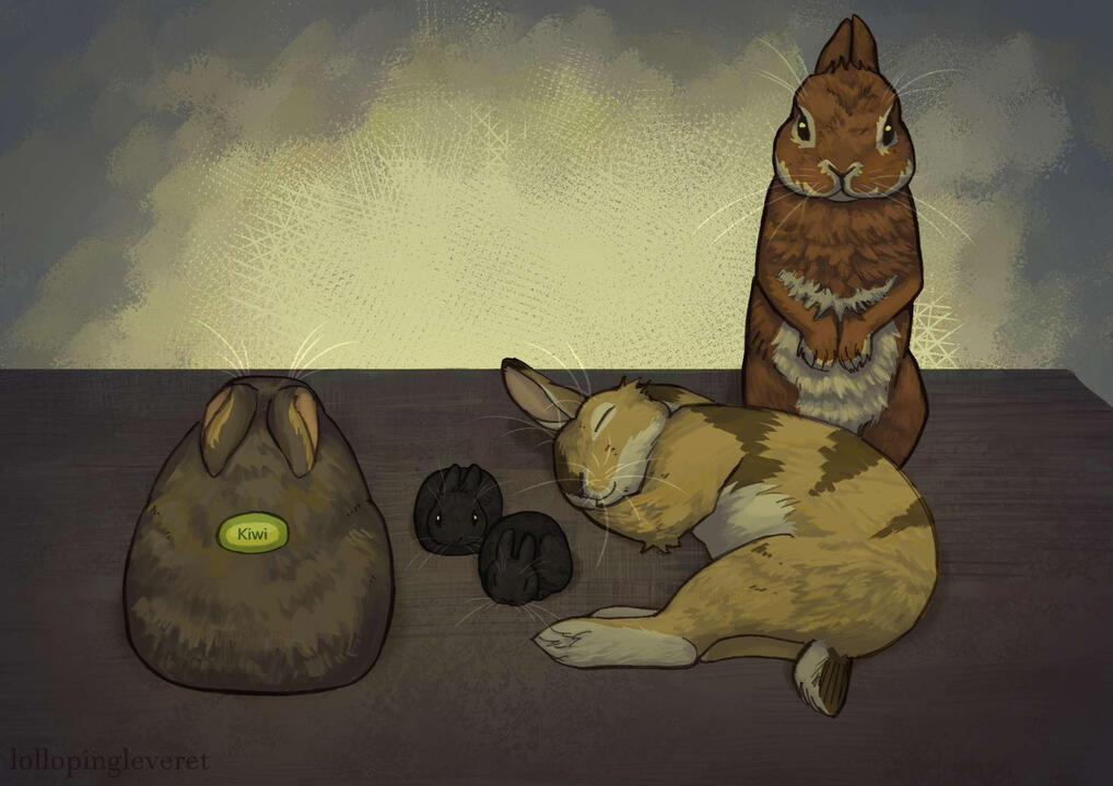 my still life looks weird today