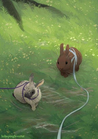 2 little bunnies